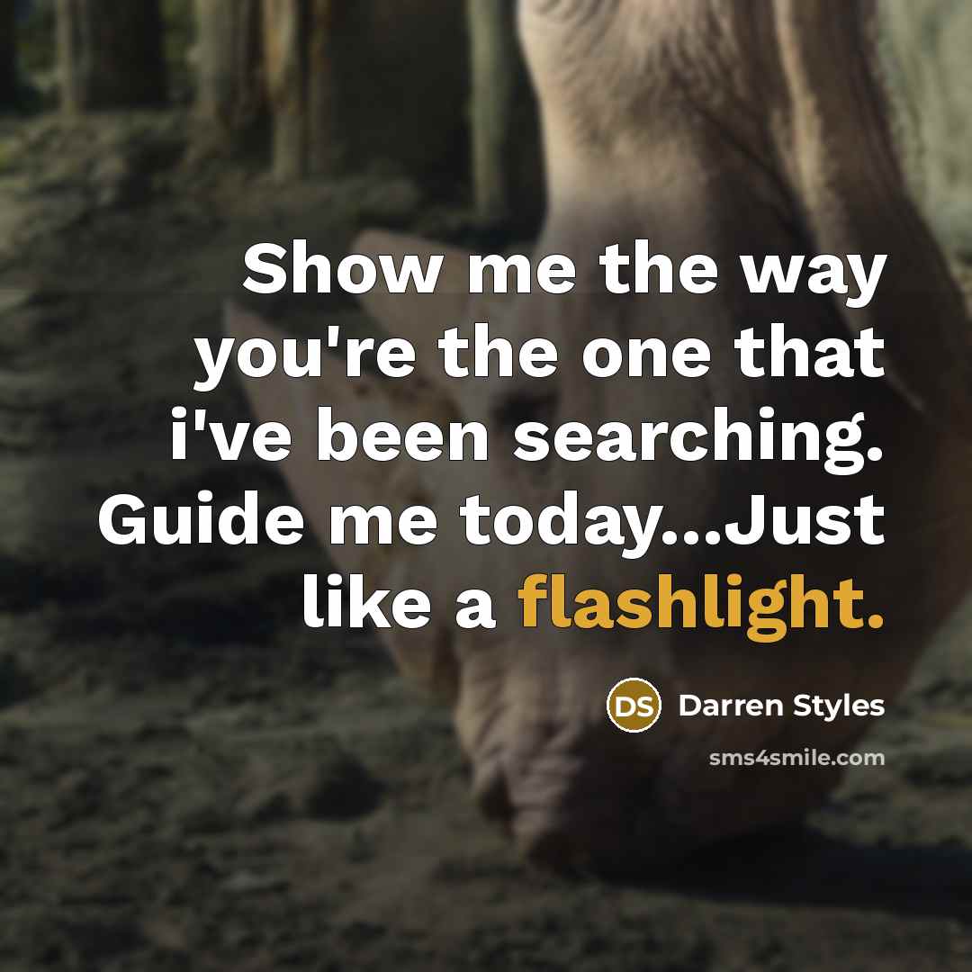 “Show me the way you're the one that i've been searching. Guide me today...Just like a flashlight.” quote by Darren Styles