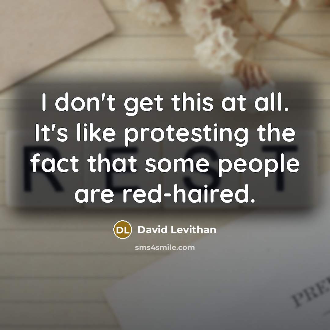 “I don't get this at all. It's like protesting the…” quote by David Levithan