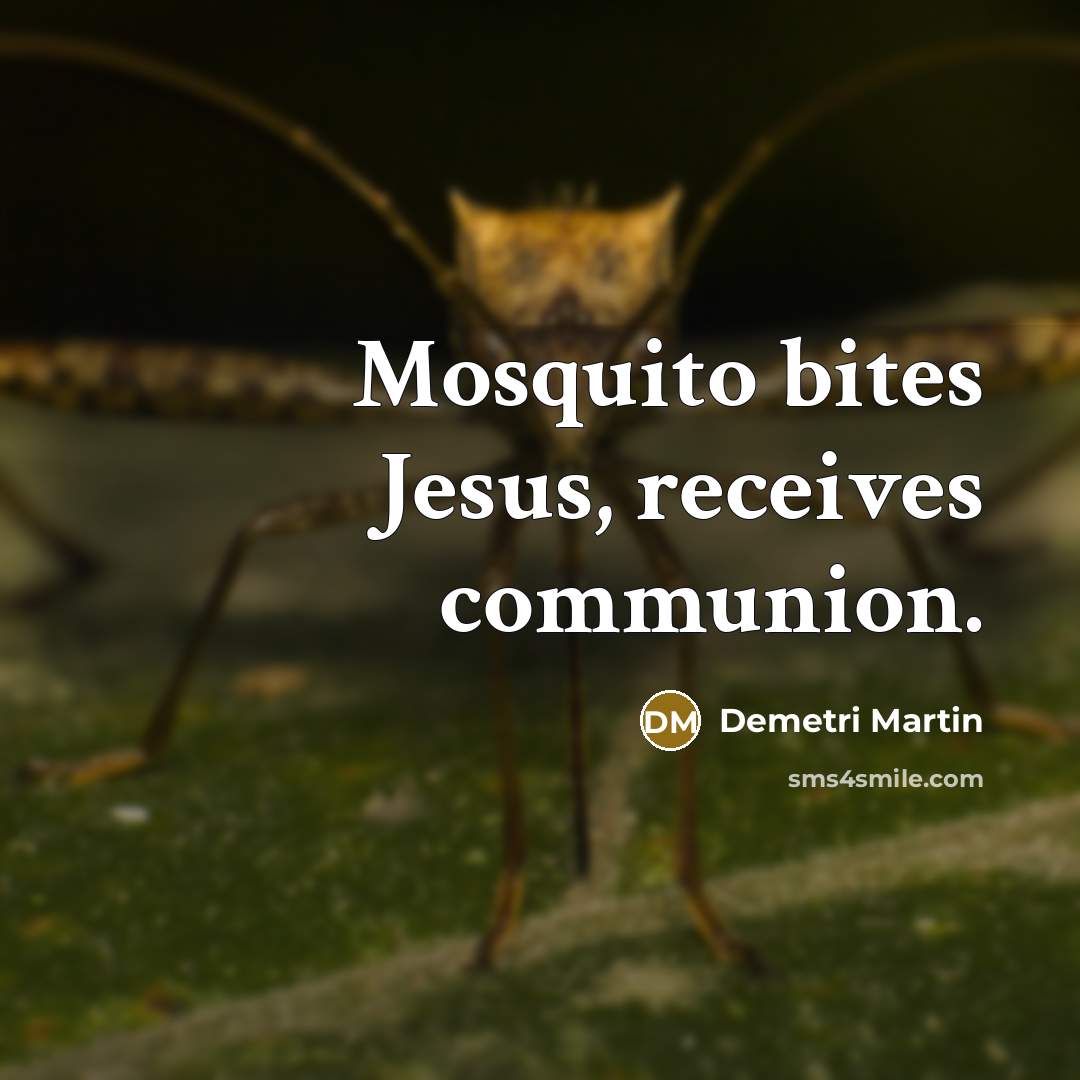 “Mosquito bites Jesus, receives communion.…” quote by Demetri Martin