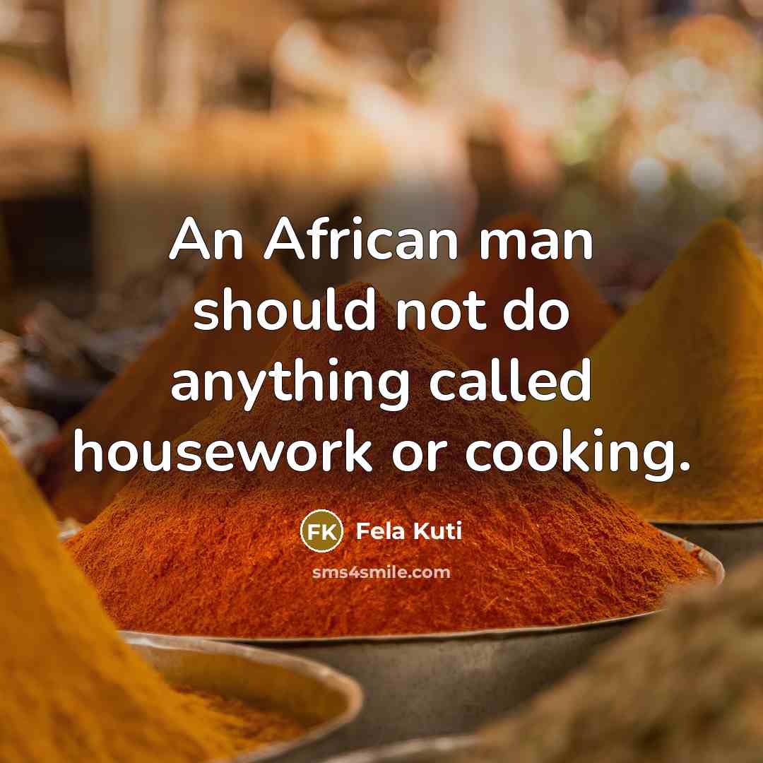 “An African man should not do anything called housework or…” quote by Fela Kuti