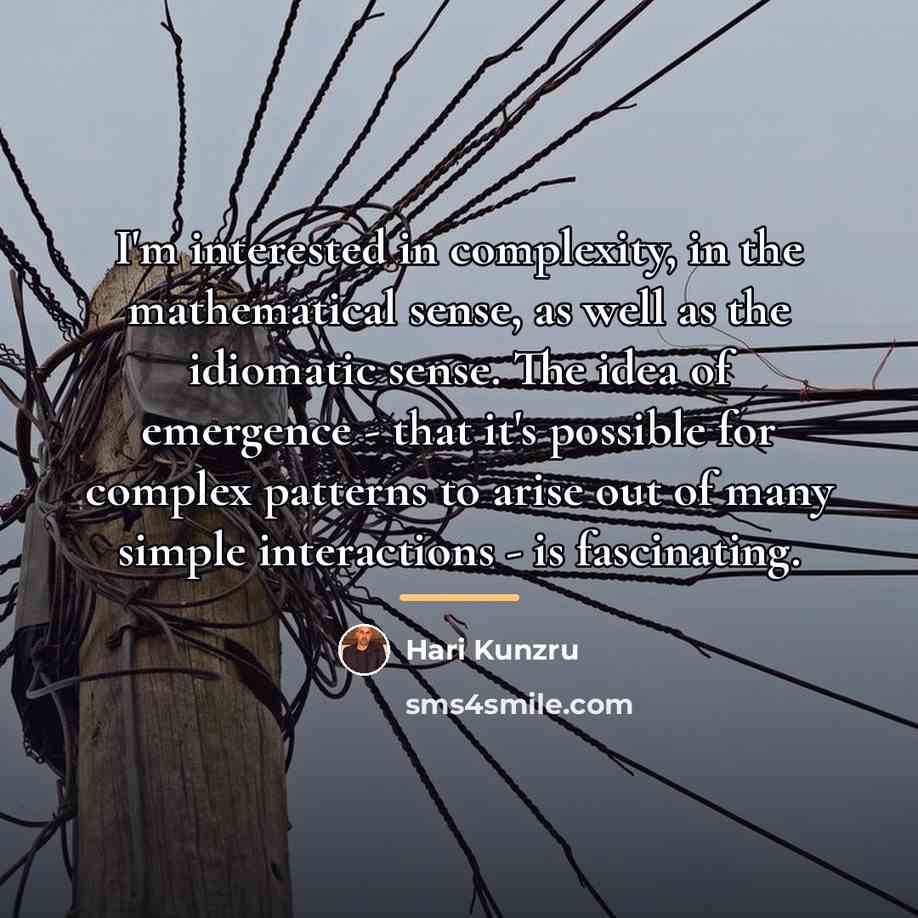 “I'm interested in complexity, in the mathematical sense, as well…” quote by Hari Kunzru