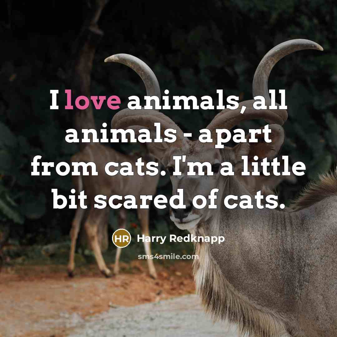 “I love animals, all animals - apart from cats. I'm…” quote by Harry Redknapp