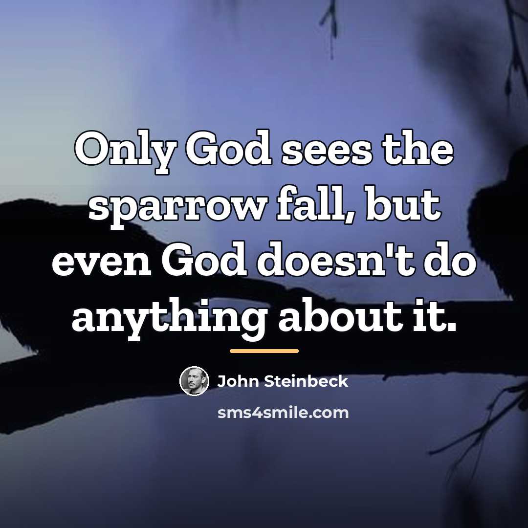 “Only God sees the sparrow fall, but even God doesn't…” quote by John Steinbeck