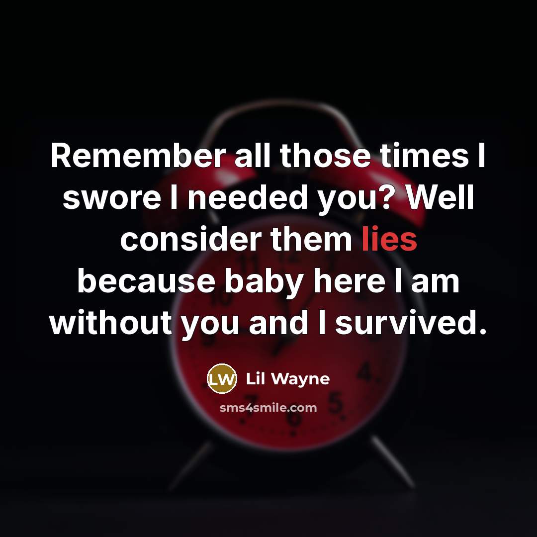 “Remember all those times I swore I needed you? Well…” quote by Lil Wayne