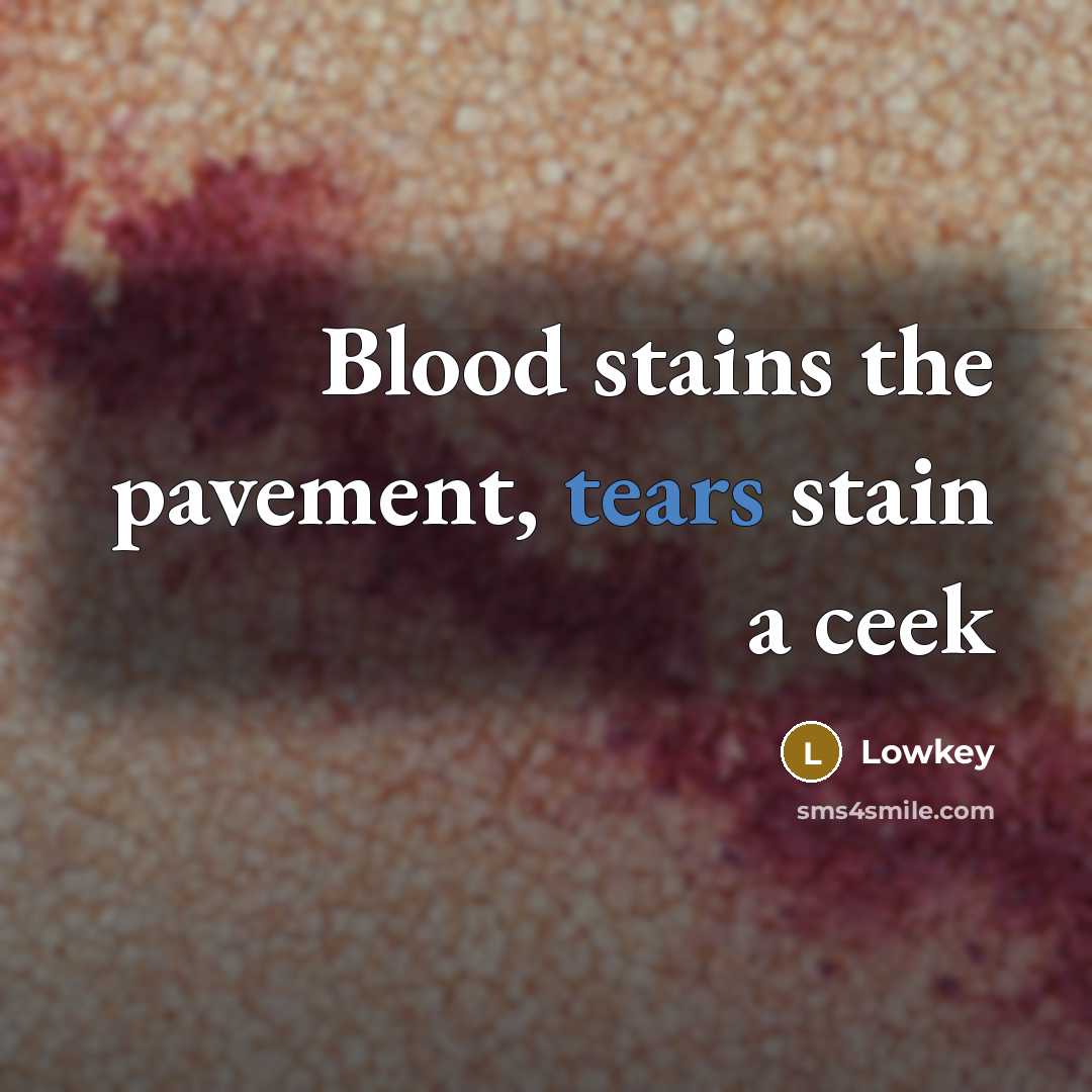 “Blood stains the pavement, tears stain a ceek” quote by Lowkey