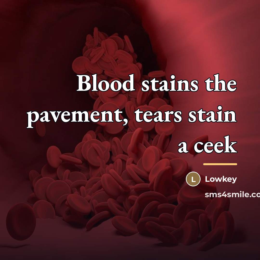 “Blood stains the pavement, tears stain a ceek…” quote by Lowkey