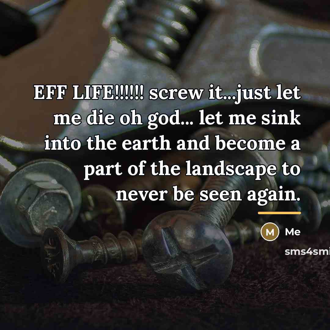 “EFF LIFE!!!!!! screw it...just let me die oh god... let…” quote by Me