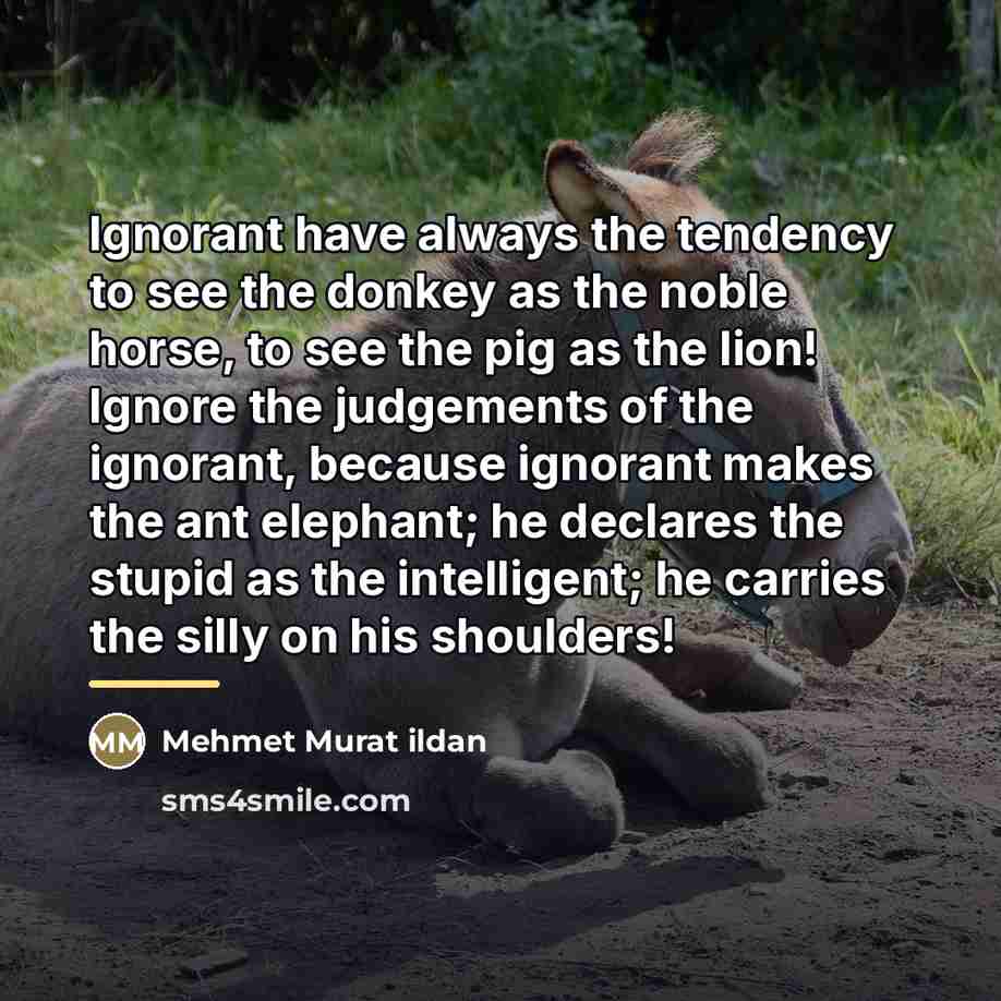 “Ignorant have always the tendency to see the donkey as…” quote by Mehmet Murat Ildan