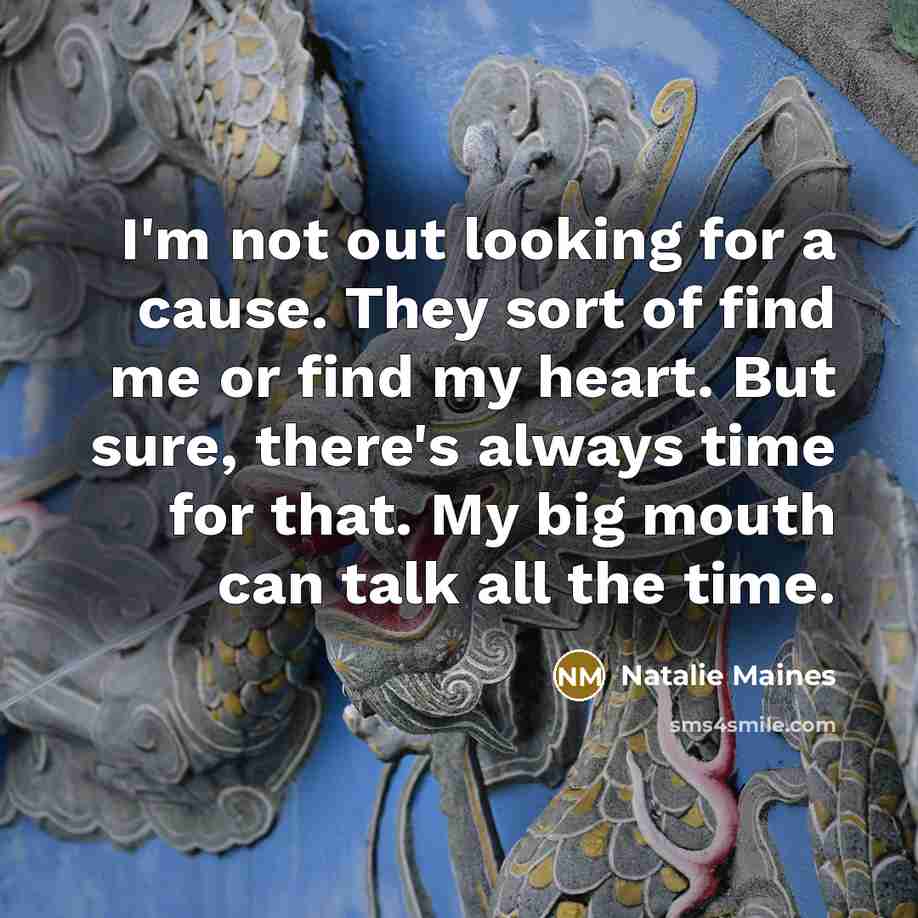 “I'm not out looking for a cause. They sort of…” quote by Natalie Maines