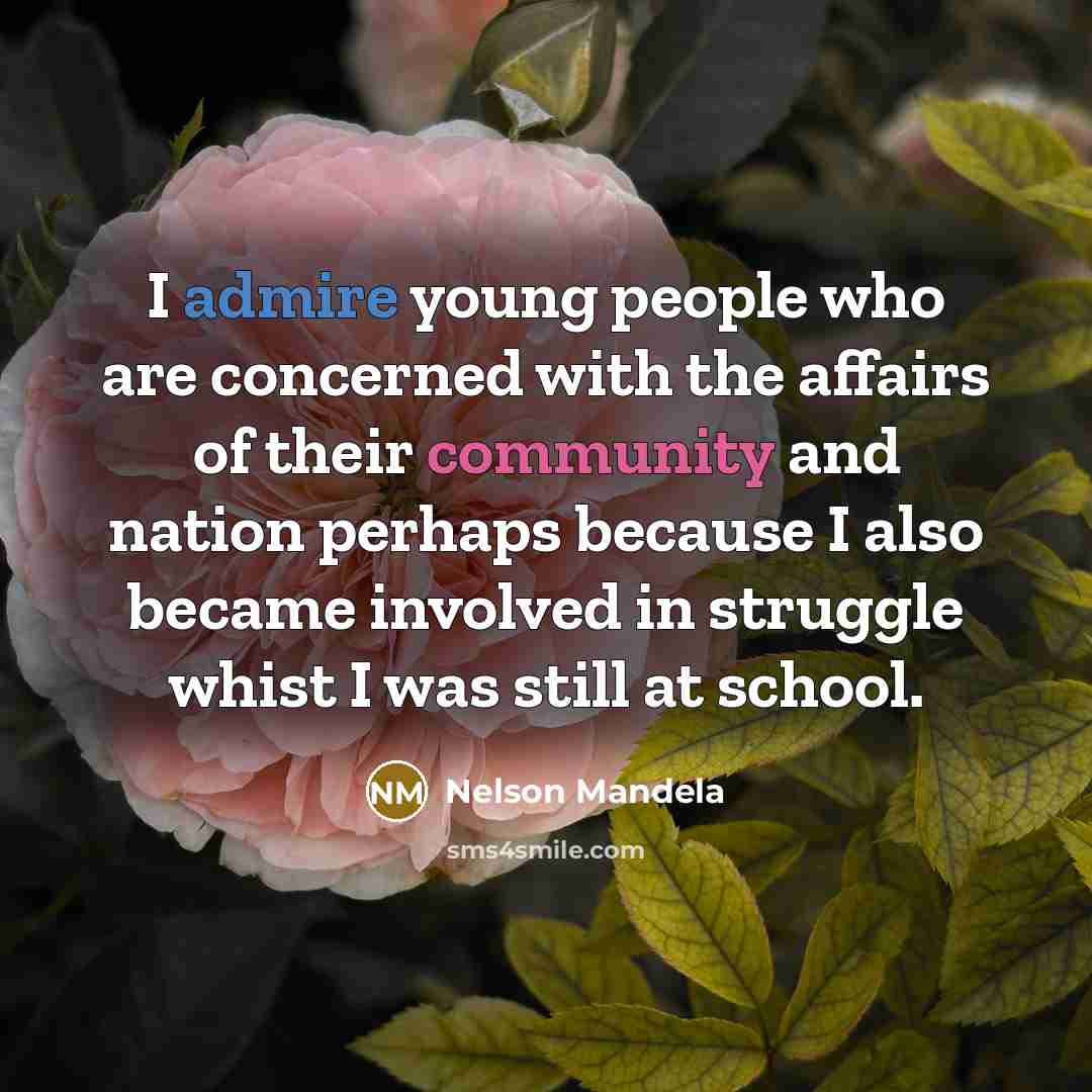 “I admire young people who are concerned with the affairs…” quote by Nelson Mandela