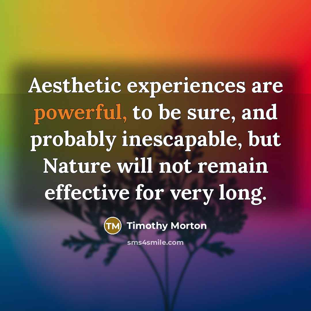 “Aesthetic experiences are powerful, to be sure, and probably inescapable,…” quote by Timothy Morton