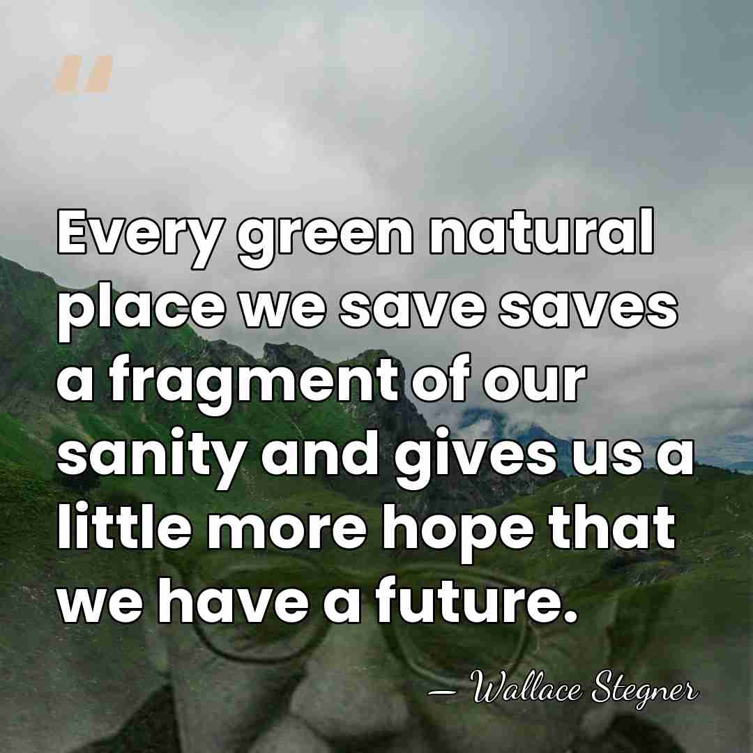 Every green natural place we save saves a fragment of our sanity&hellip; - Wallace Stegner