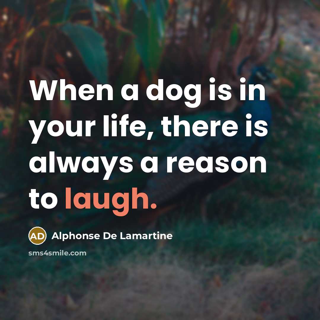 “When a dog is in your life, there is always a reason to laugh.” quote by Alphonse de Lamartine