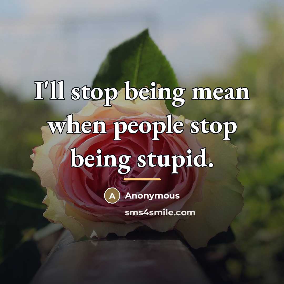 “I'll stop being mean when people stop being stupid.…” quote by Anonymous