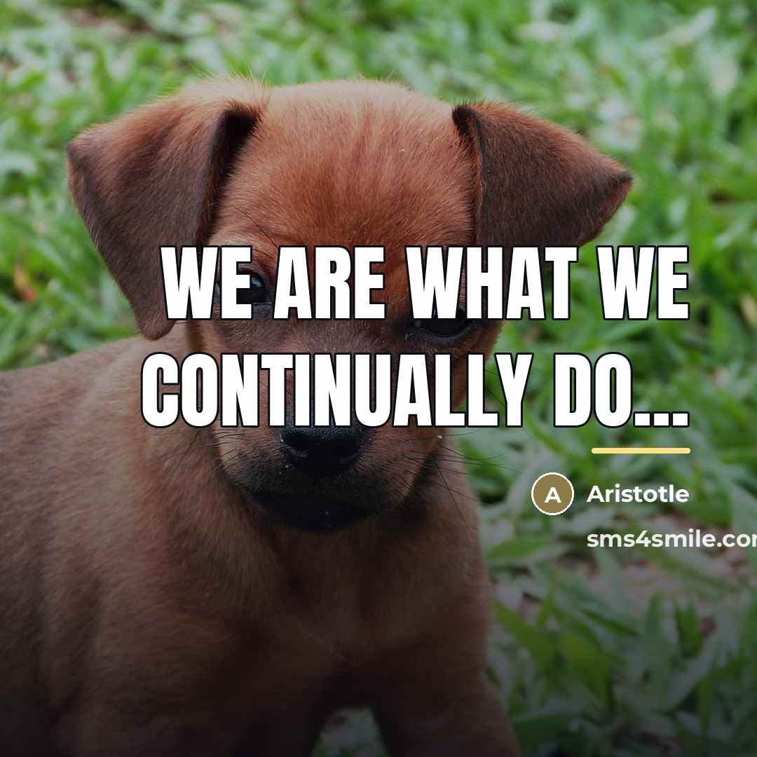 “We are what we continually do...…” quote by Aristotle