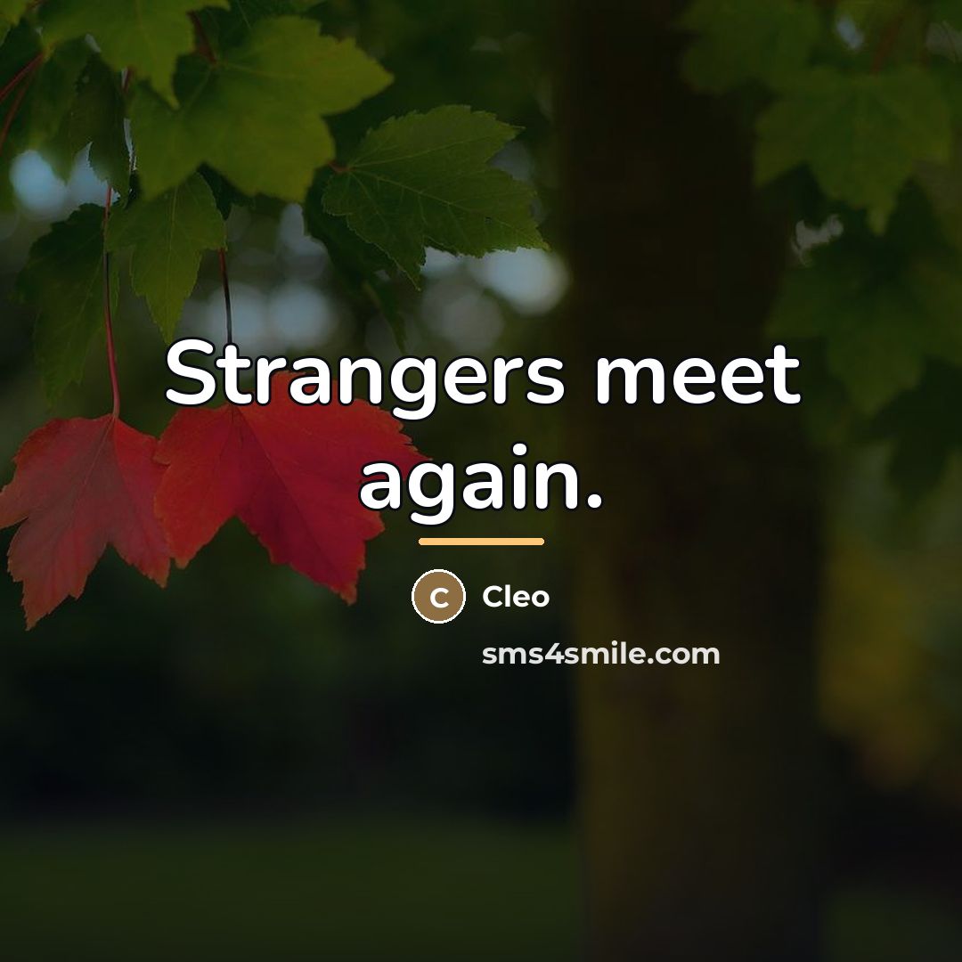 “Strangers meet again.…” quote by Cleo