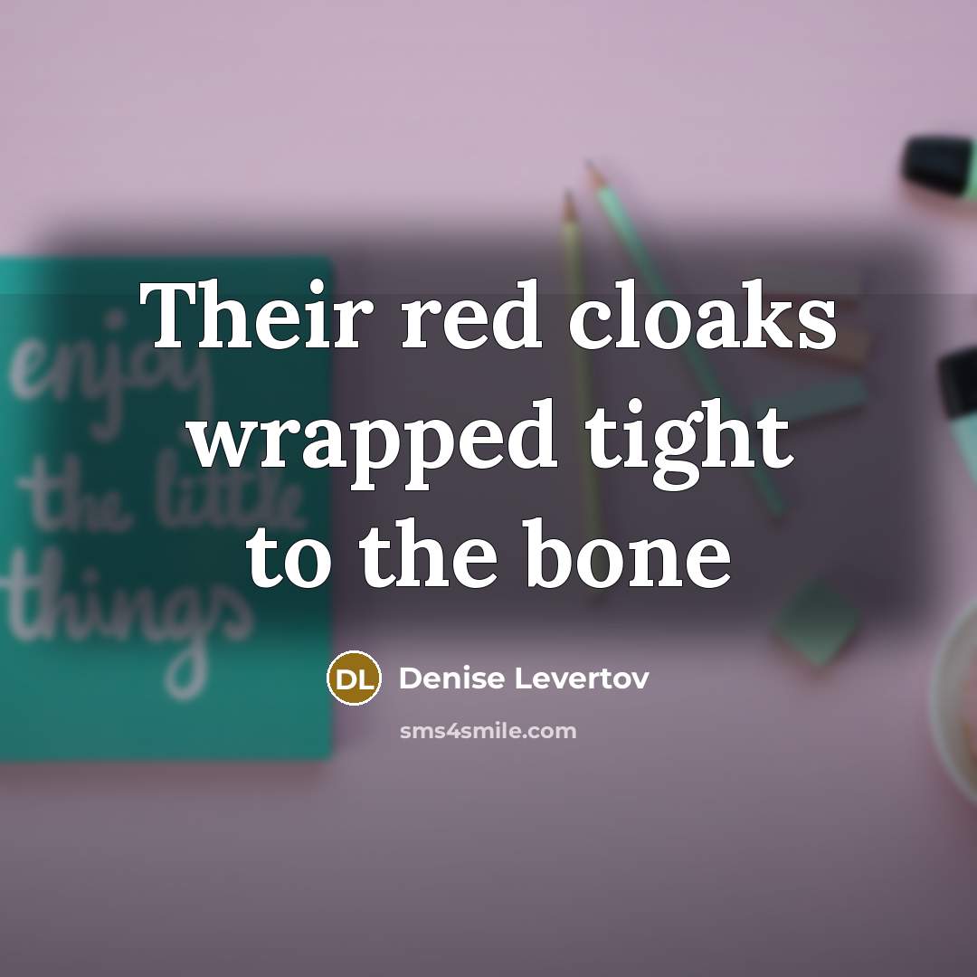 “Their red cloaks wrapped tight to the bone” quote by Denise Levertov