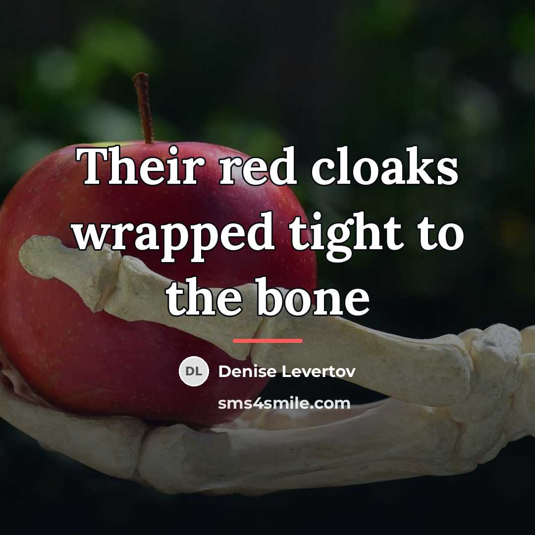 “Their red cloaks wrapped tight to the bone…” quote by Denise Levertov