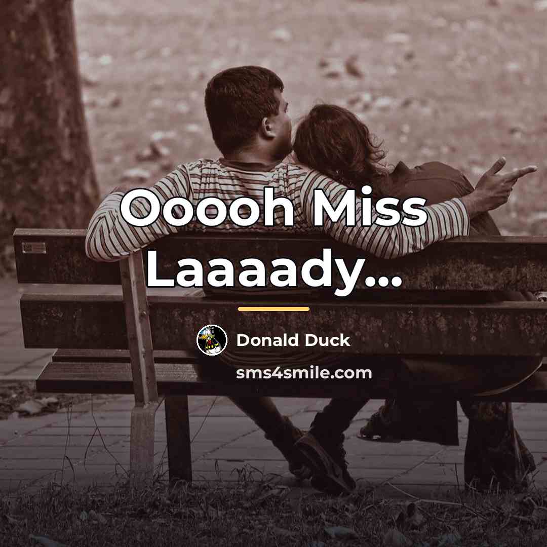 “Ooooh Miss Laaaady...…” quote by Donald Duck
