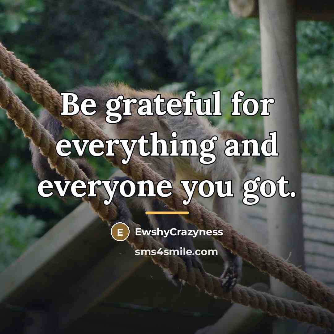“Be grateful for everything and everyone you got.…” quote by EwshyCrazyness