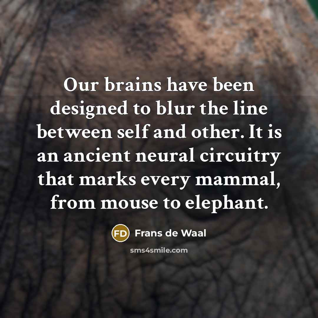 “Our brains have been designed to blur the line between…” quote by Frans de Waal