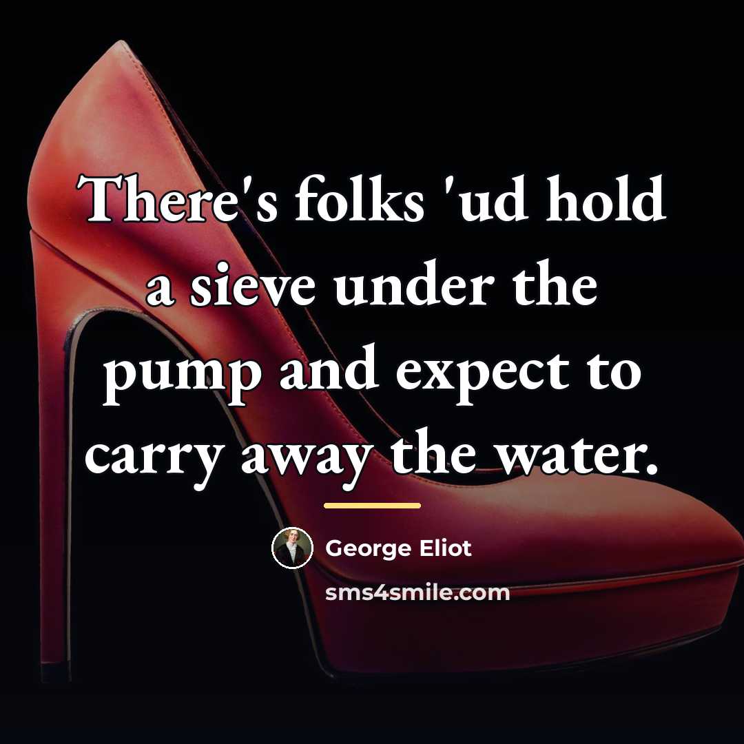 “There's folks 'ud hold a sieve under the pump and…” quote by George Eliot