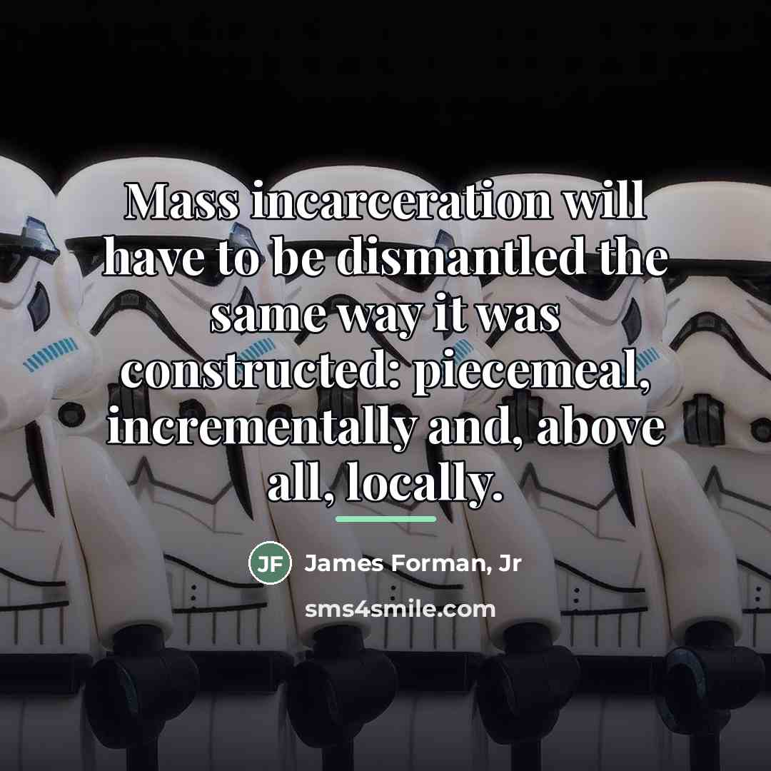 “Mass incarceration will have to be dismantled the same way…” quote by James Forman, Jr