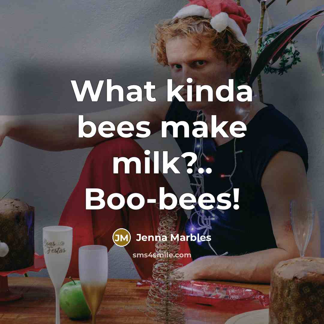 “What kinda bees make milk?.. Boo-bees!…” quote by Jenna Marbles