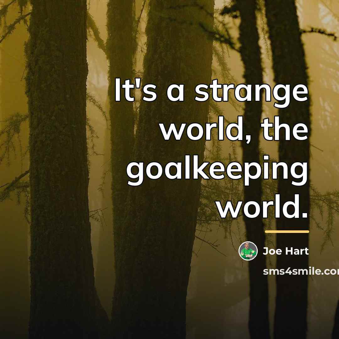 “It's a strange world, the goalkeeping world.…” quote by Joe Hart