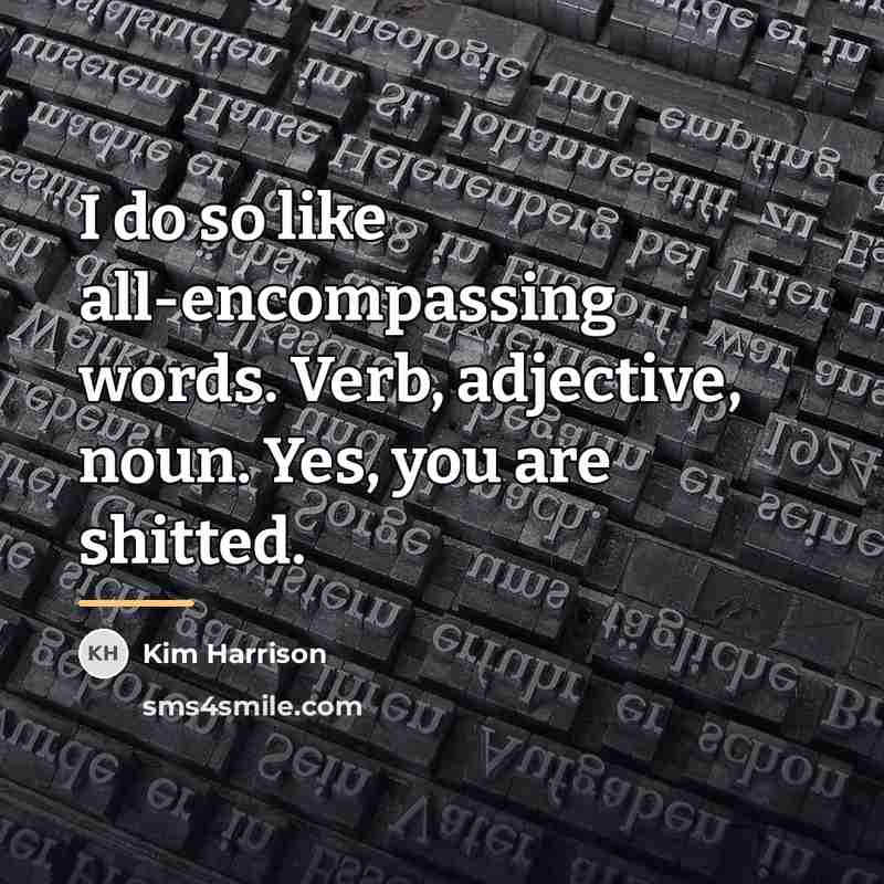“I do so like all-encompassing words. Verb, adjective, noun. Yes,…” quote by Kim Harrison