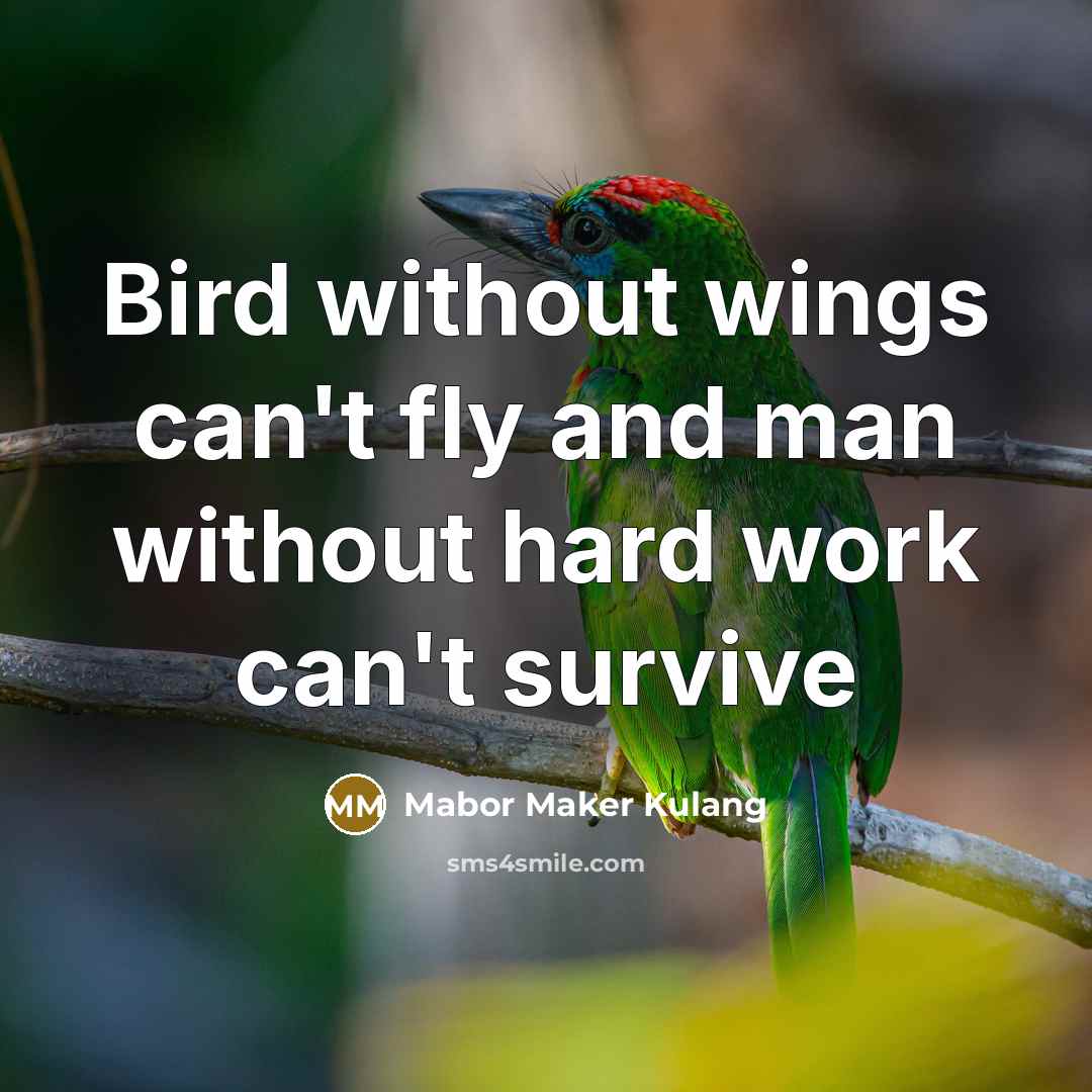 “Bird without wings can't fly and man without hard work can't survive” quote by Mabor Maker Kulang