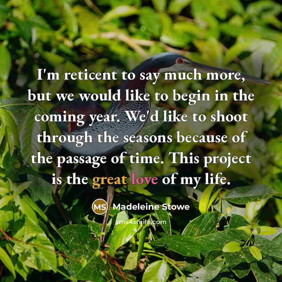 “I'm reticent to say much more, but we would like…” quote by Madeleine Stowe