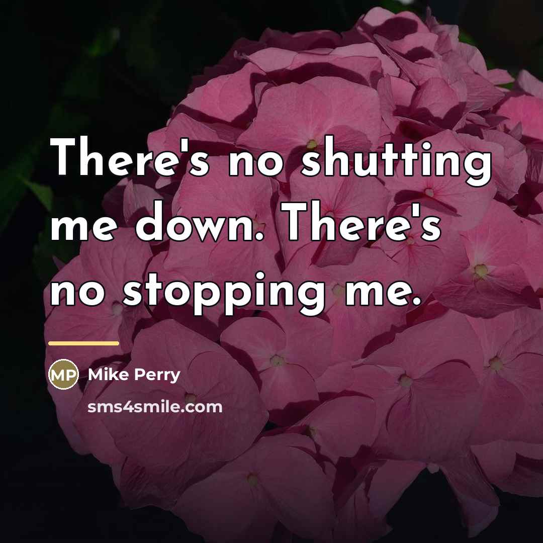 “There's no shutting me down. There's no stopping me.…” quote by Mike Perry