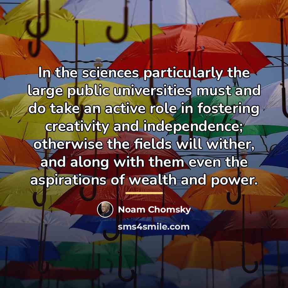 “In the sciences particularly the large public universities must and…” quote by Noam Chomsky