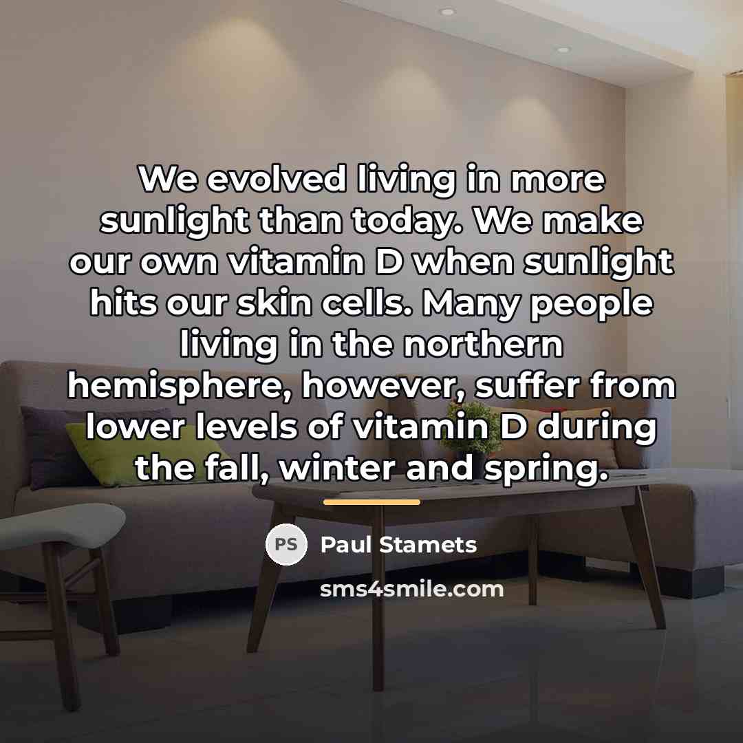 “We evolved living in more sunlight than today. We make…” quote by Paul Stamets