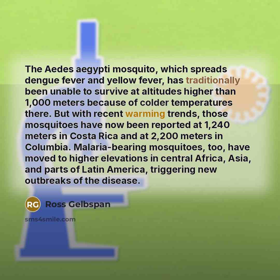 “The Aedes aegypti mosquito, which spreads dengue fever and yellow…” quote by Ross Gelbspan