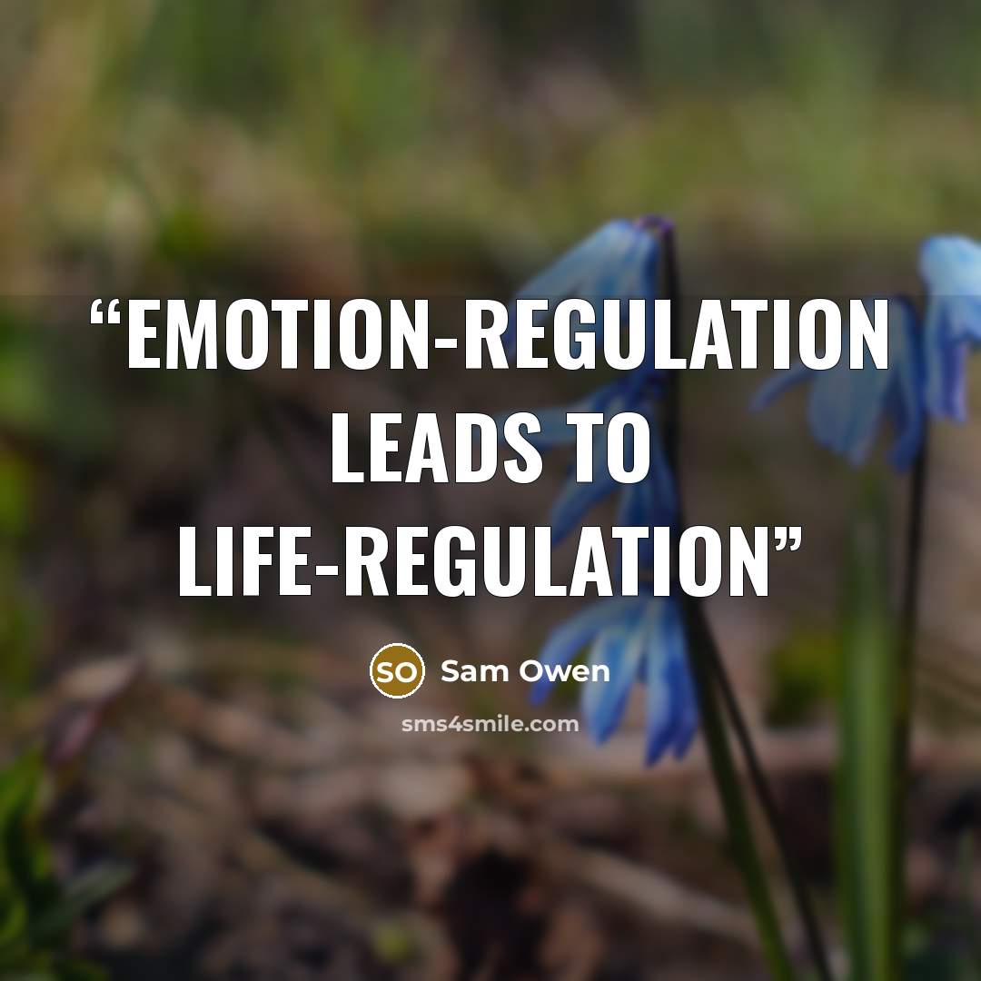 “Emotion-regulation leads to life-regulation” quote by Sam Owen