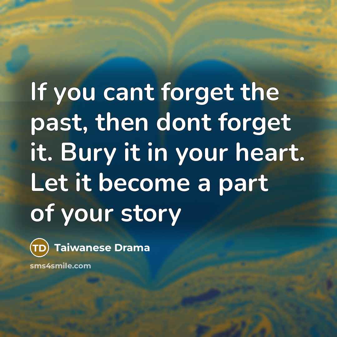 “If you cant forget the past, then dont forget it.…” quote by Taiwanese Drama