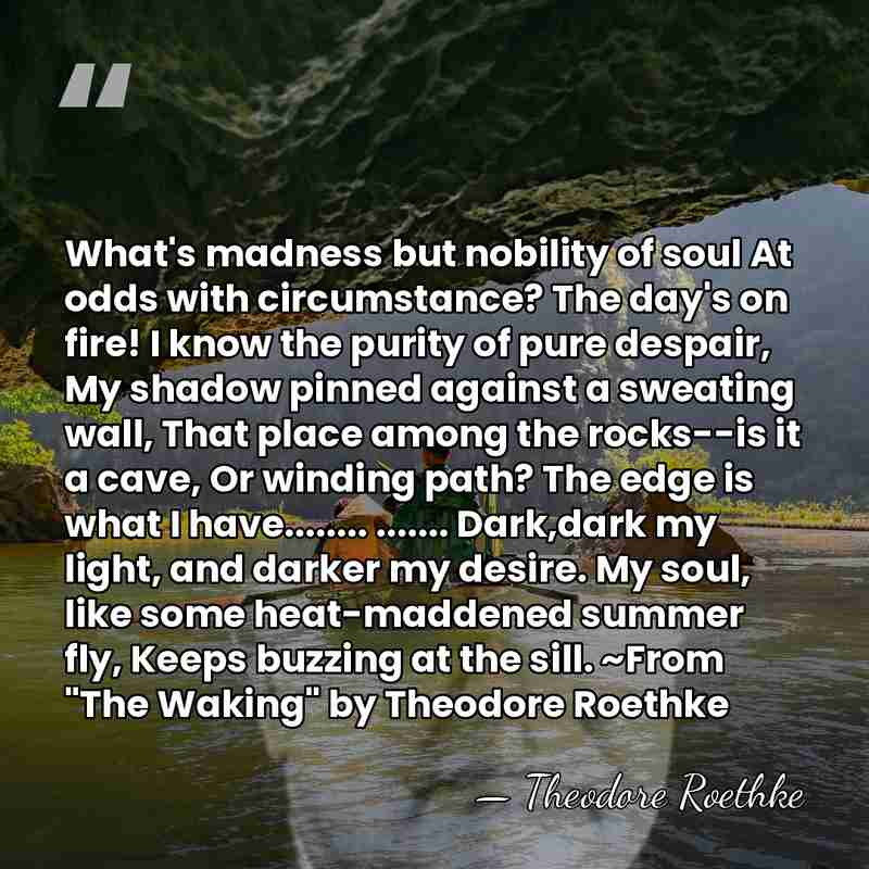 What's madness but nobility of soul At odds with circumstance? The day's&hellip; - Theodore Roethke