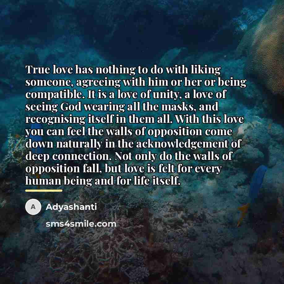 “True love has nothing to do with liking someone, agreeing…” quote by Adyashanti