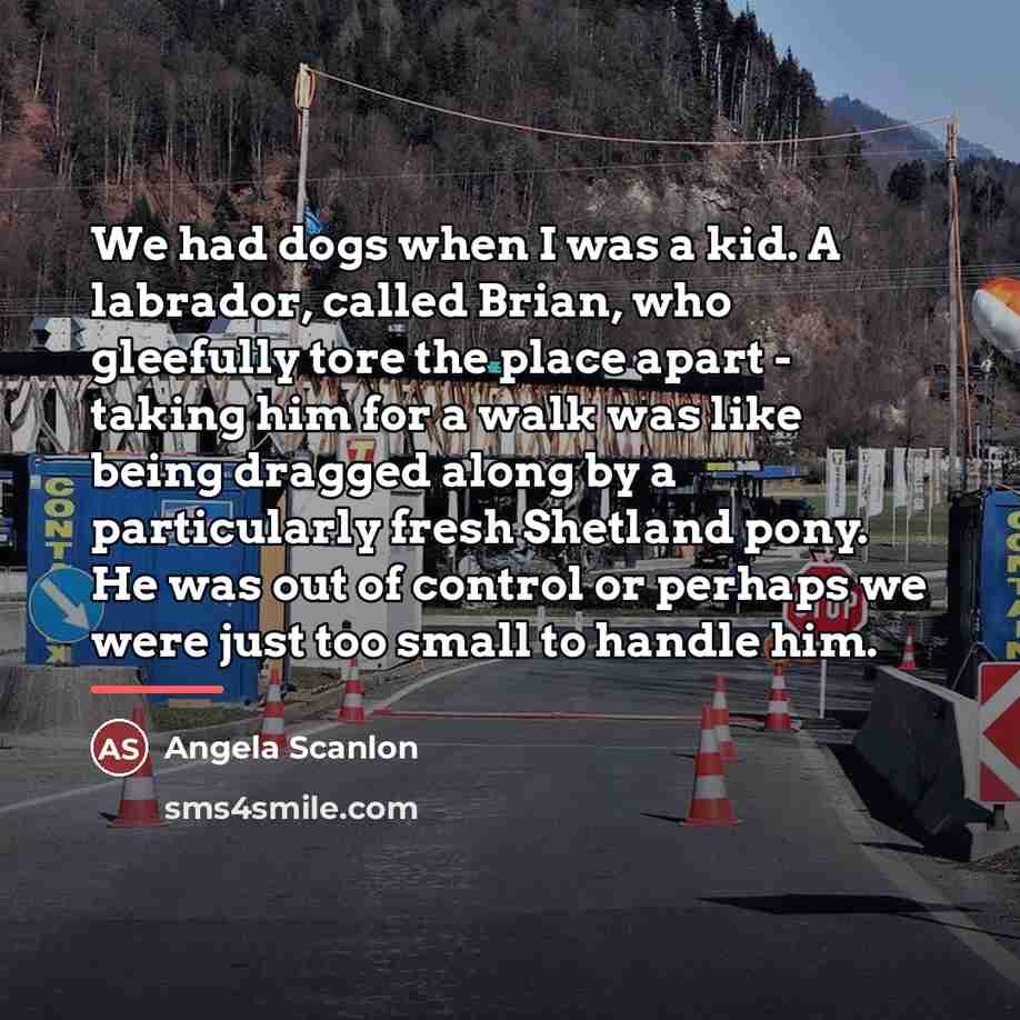 “We had dogs when I was a kid. A labrador,…” quote by Angela Scanlon