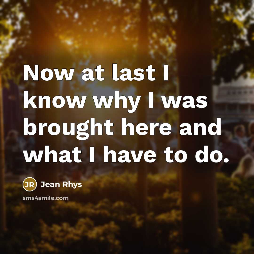 “Now at last I know why I was brought here and what I have to do.” quote by Jean Rhys