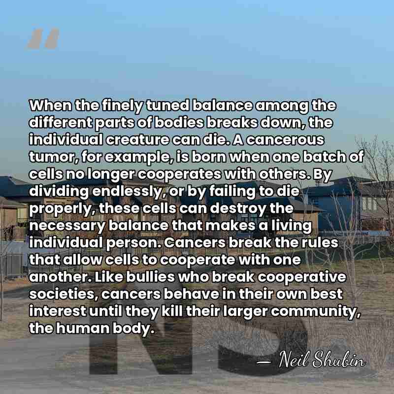 When the finely tuned balance among the different parts of bodies breaks&hellip; - Neil Shubin