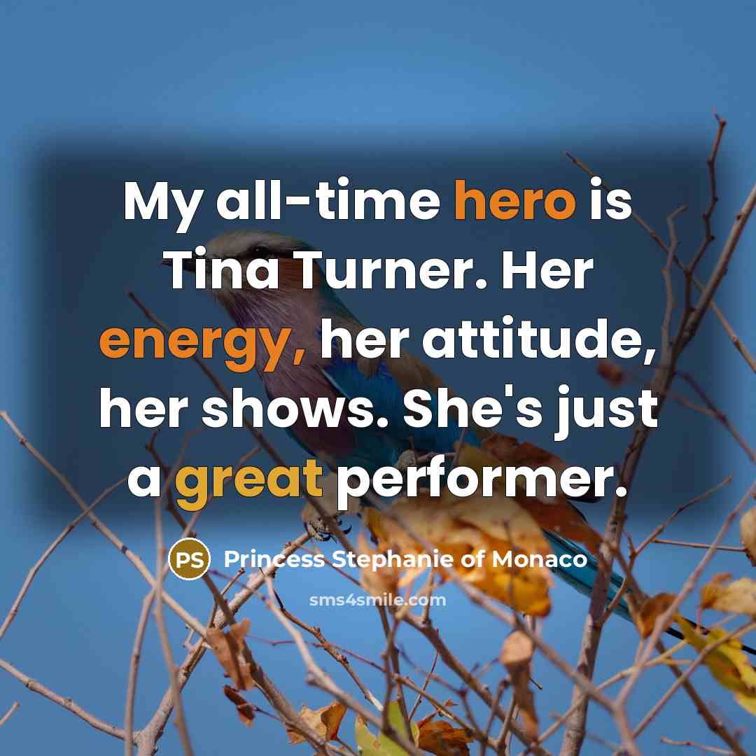 “My all-time hero is Tina Turner. Her energy, her attitude,…” quote by Princess Stephanie of Monaco