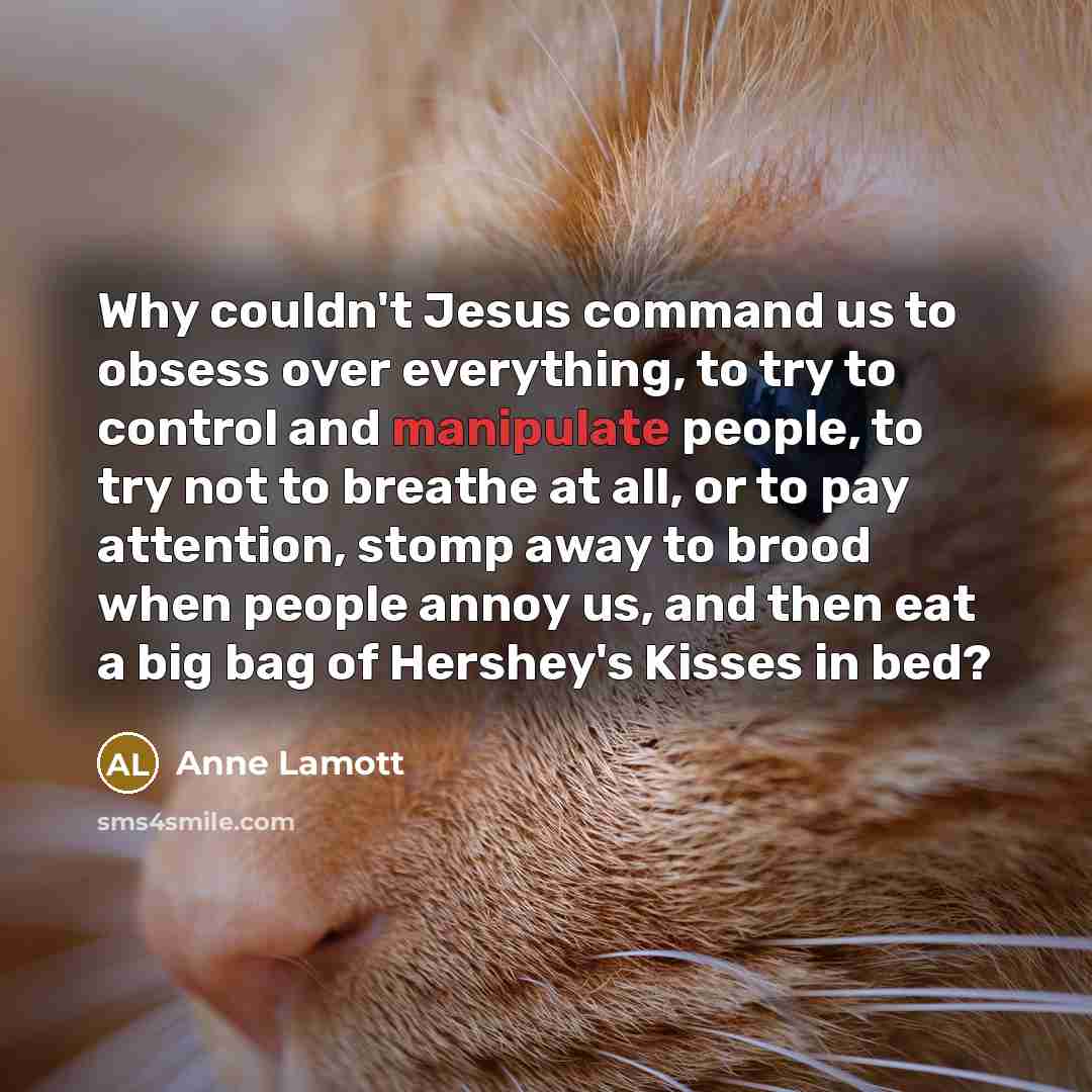 “Why couldn't Jesus command us to obsess over everything, to…” quote by Anne Lamott