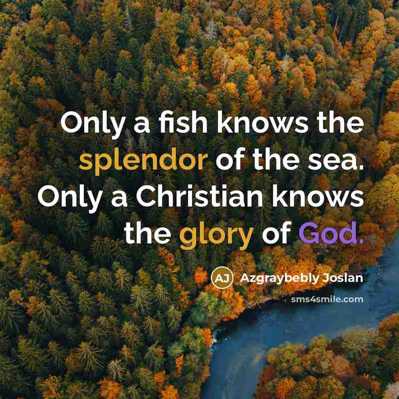 “Only a fish knows the splendor of the sea. Only…” quote by Azgraybebly Joslan
