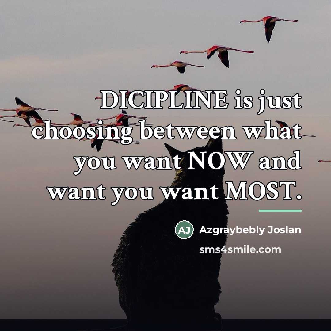 “DICIPLINE is just choosing between what you want NOW and…” quote by Azgraybebly Joslan