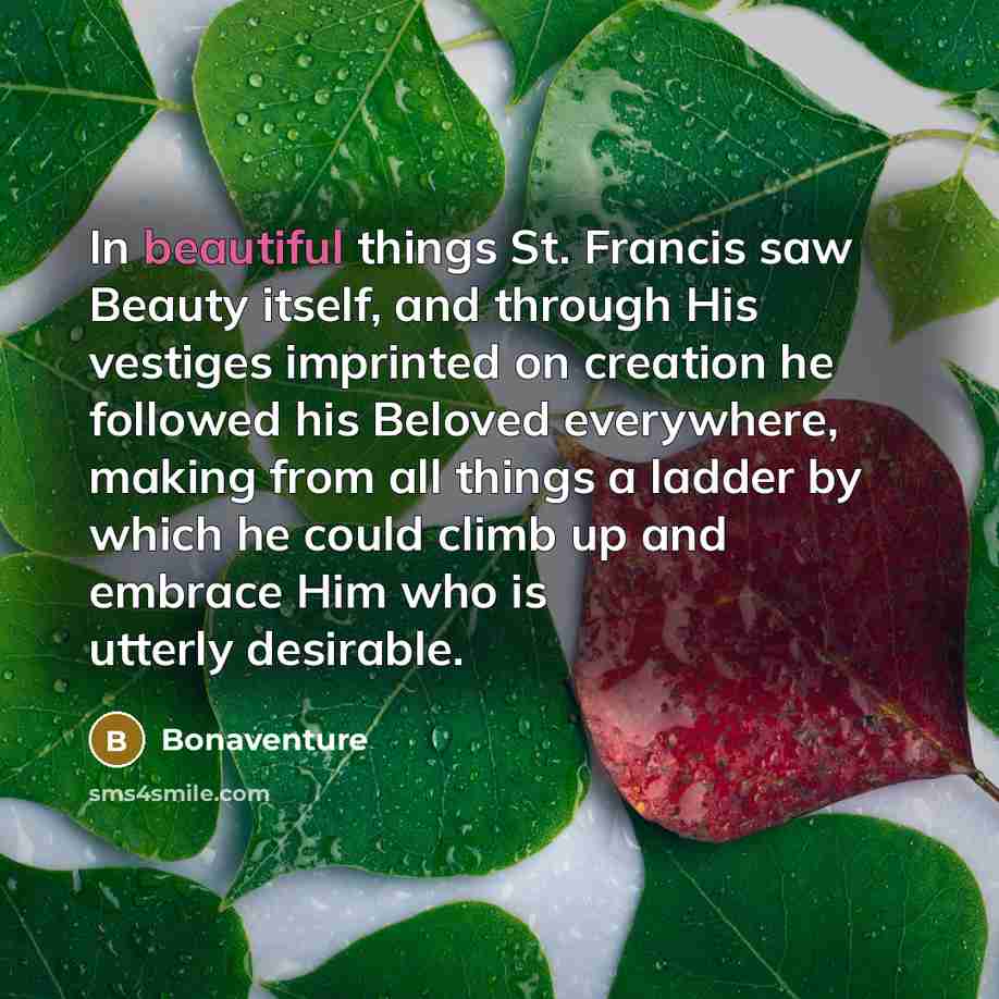 “In beautiful things St. Francis saw Beauty itself, and through…” quote by Bonaventure