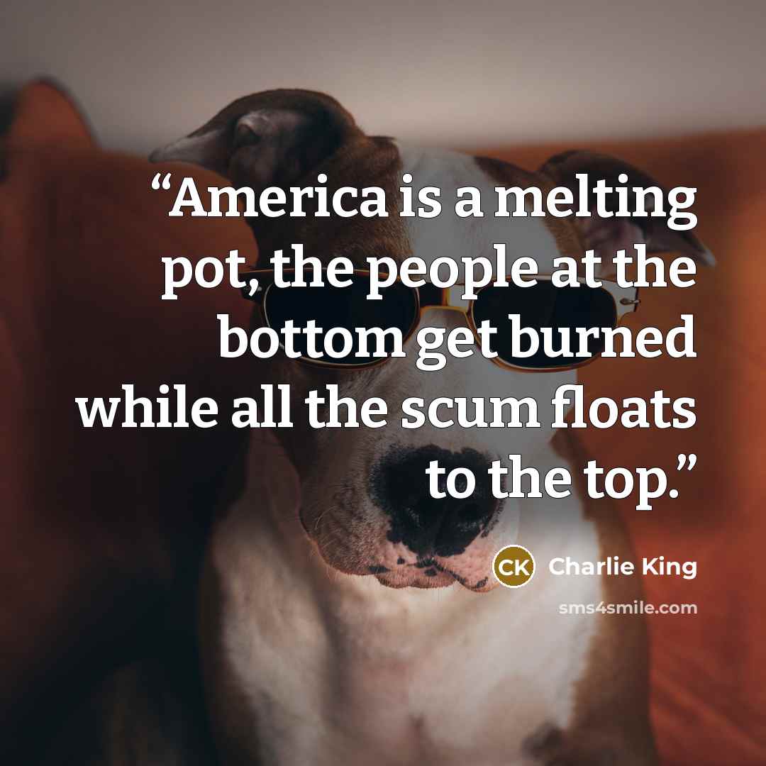 “America is a melting pot, the people at the bottom get burned while all the scum floats to the top.” quote by Charlie King