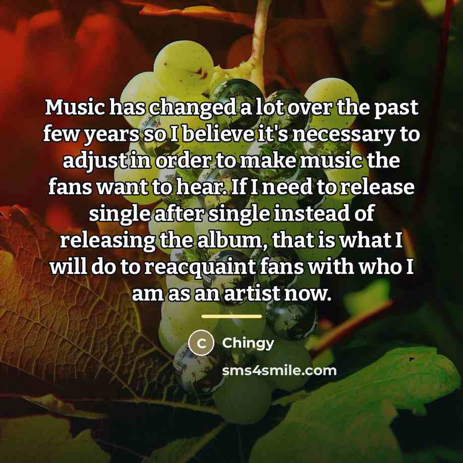 “Music has changed a lot over the past few years…” quote by Chingy